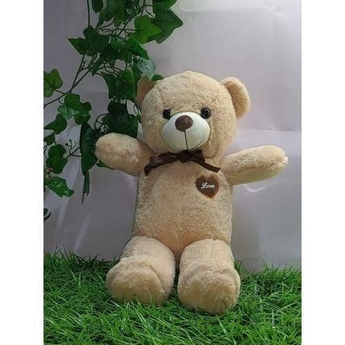 60CM BROWN PLUSH TEDDY BEAR