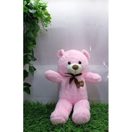 60CM PINK PLUSH TEDDY BEAR